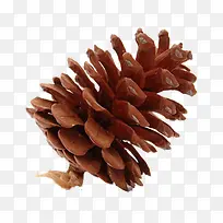 ����ʵ��-������