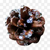 ����ʵ��-������