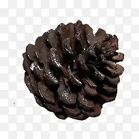 ����ʵ��-������