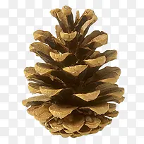 ����ʵ��-������