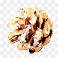 ����ʵ��-������