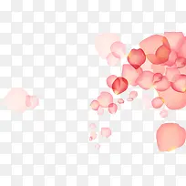 彩色漂浮的花瓣-空若网 彩色漂浮的花瓣-空若网