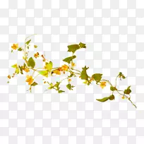 彩色剪贴画.水彩画厂-空若网 彩色剪贴画.水彩画厂-空若网