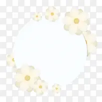 花朵标签-空若网 花朵标签-空若网