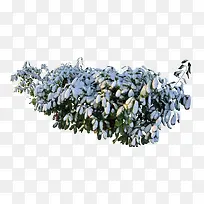 »ýÑ©²ÝÃâ¿ÛËØ²Ä-¿ÕÈôÍø »ýÑ©²ÝÃâ¿ÛËØ²Ä-¿ÕÈôÍø