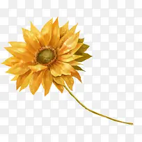 创意摄影黄色的向日葵-空若网 创意摄影黄色的向日葵-空若网