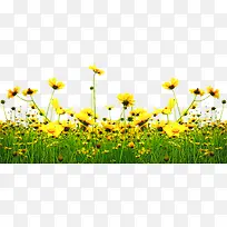 ������Ӱ��ɫ�����տ�-������