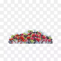 果汁水果-空若网 果汁水果-空若网