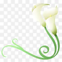 ��ɫ���Ȼ�-������