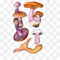 卡通手绘大小蘑菇-空若网 卡通手绘大小蘑菇-空若网