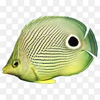 ˮ���ද������-������