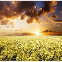 ����ͼ-������