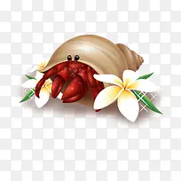 寄居蟹-空若网 寄居蟹-空若网