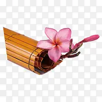 竹简花朵-空若网 竹简花朵-空若网