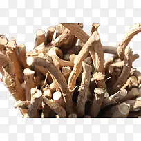 许多根黄芪-空若网 许多根黄芪-空若网