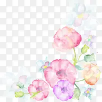 水彩花卉专辑-空若网 水彩花卉专辑-空若网