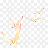 唯美精美飞鸟-空若网 唯美精美飞鸟-空若网