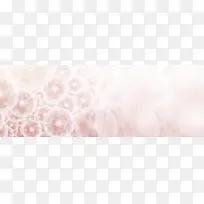 ��ɫ����-������