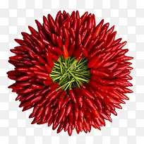 手绘食物图片蔬菜 红辣椒-空若网 手绘食物图片蔬菜 红辣椒-空若网