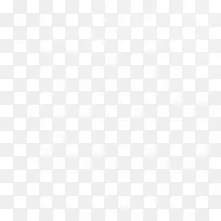 树枝-空若网 树枝-空若网