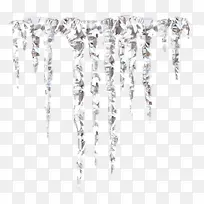 ���������֦-������