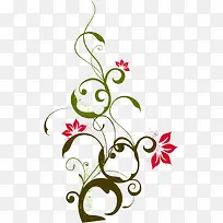 ��֦�ʻ�װ��ŵ�-������