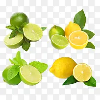 水果 柠檬-空若网 水果 柠檬-空若网