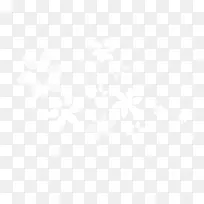 白色碎花-空若网 白色碎花-空若网