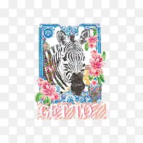 水彩斑马-空若网 水彩斑马-空若网