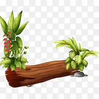 长小草的木条-空若网 长小草的木条-空若网