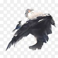 ��ɫˮī�������-������