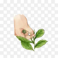 手绘采茶-空若网 手绘采茶-空若网