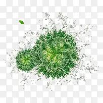 唯美清新护肤复活草水珠-空若网 唯美清新护肤复活草水珠-空若网