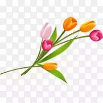 ����������-��Ȫ-������