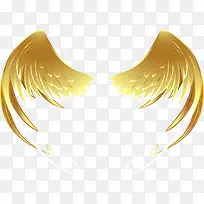 翅膀-空若网 翅膀-空若网