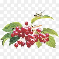 ʸ��ͼˮ��ӣ��-������