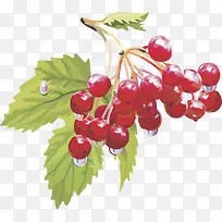 矢量图水果樱桃-空若网 矢量图水果樱桃-空若网