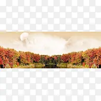 秋季枫林背景-空若网 秋季枫林背景-空若网