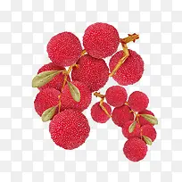 杨梅水果-空若网 杨梅水果-空若网