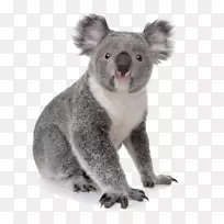 ���޿����ܿɰ����￼������-������