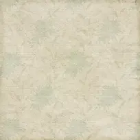 菊花布纹背景-空若网 菊花布纹背景-空若网