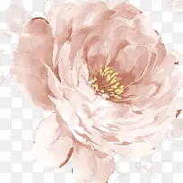 水彩花卉-空若网 水彩花卉-空若网