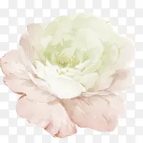 水彩花卉-空若网 水彩花卉-空若网