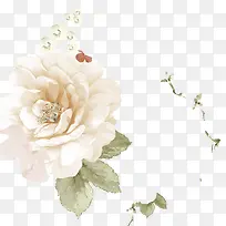 水彩花卉-空若网 水彩花卉-空若网