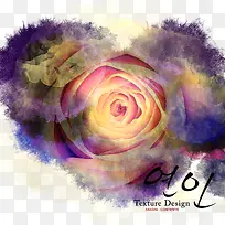 水彩花卉-空若网 水彩花卉-空若网