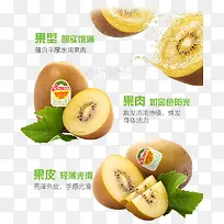 猕猴桃水果详情页-空若网 猕猴桃水果详情页-空若网