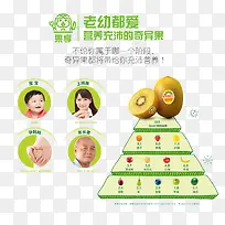 猕猴桃水果详情图说明-空若网 猕猴桃水果详情图说明-空若网