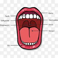 ��ǻ�ṹͼʸ���ز�-������