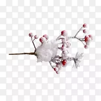 ��֦���������鱦��ѩ����-������