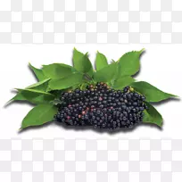 老浆果萃取糖浆汁-浆果-空若网 老浆果萃取糖浆汁-浆果-空若网